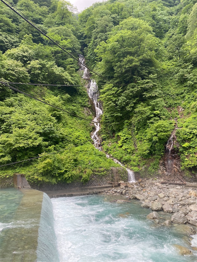 f:id:ai110-12368:20210626151944j:image f:id:ai110-12368:20210626151944j:image
