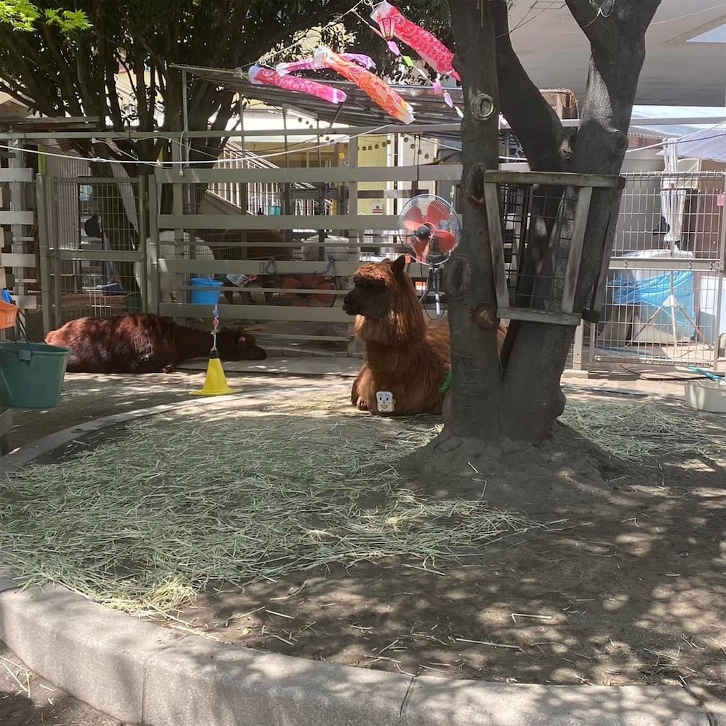 f:id:ai110-12368:20221030160715j:image f:id:ai110-12368:20221030160715j:image