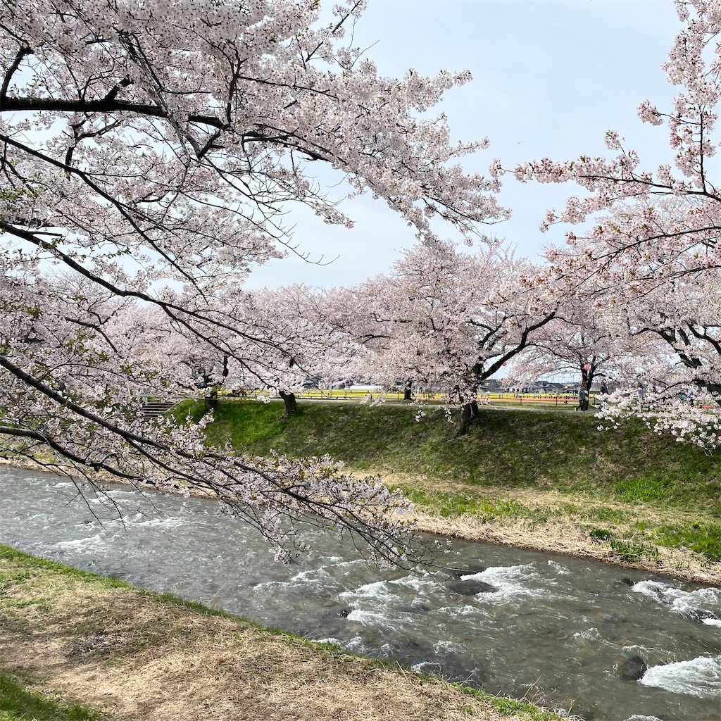 f:id:ai110-12368:20240429055747j:image f:id:ai110-12368:20240429055747j:image