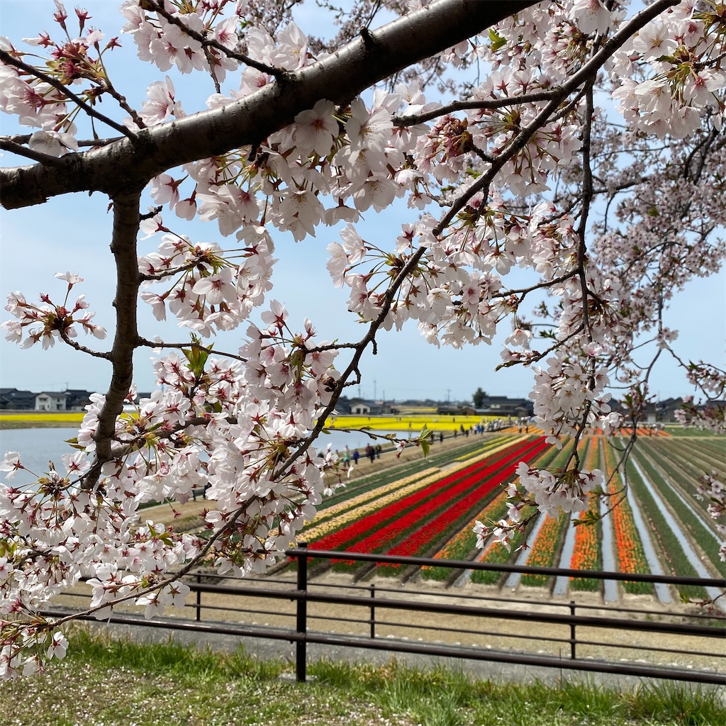 f:id:ai110-12368:20240429055755j:image f:id:ai110-12368:20240429055755j:image