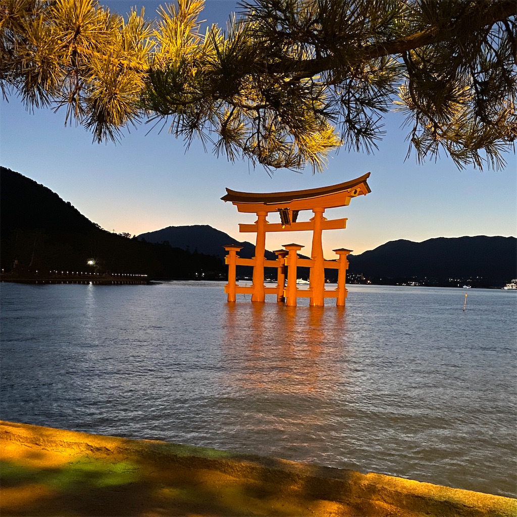 f:id:ai110-12368:20241214123806j:image f:id:ai110-12368:20241214123806j:image