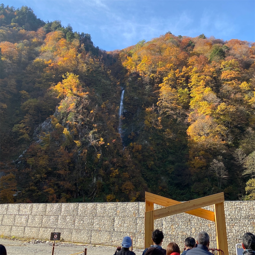 f:id:ai110-12368:20241231100507j:image