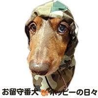 最新版 お気に入りブログを短く簡単にご紹介 お留守番犬 ホッピーの日々 まわりみち