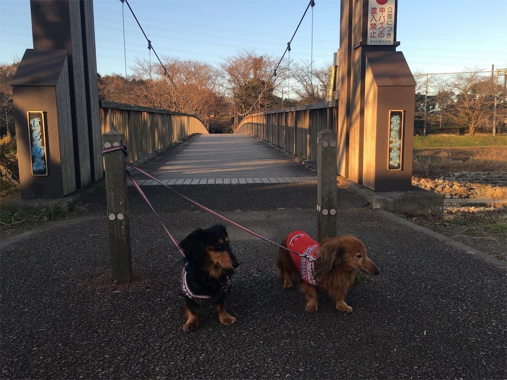 iPhoneカメラのHDRあり iPhoneカメラのHDRあり