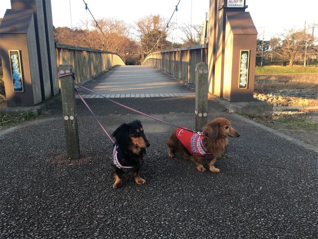 iPhoneカメラのHDRなし iPhoneカメラのHDRなし