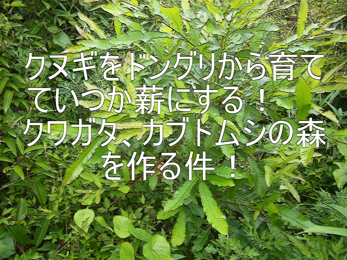 f:id:ai_bou:20190626195208j:plain f:id:ai_bou:20190626195208j:plain