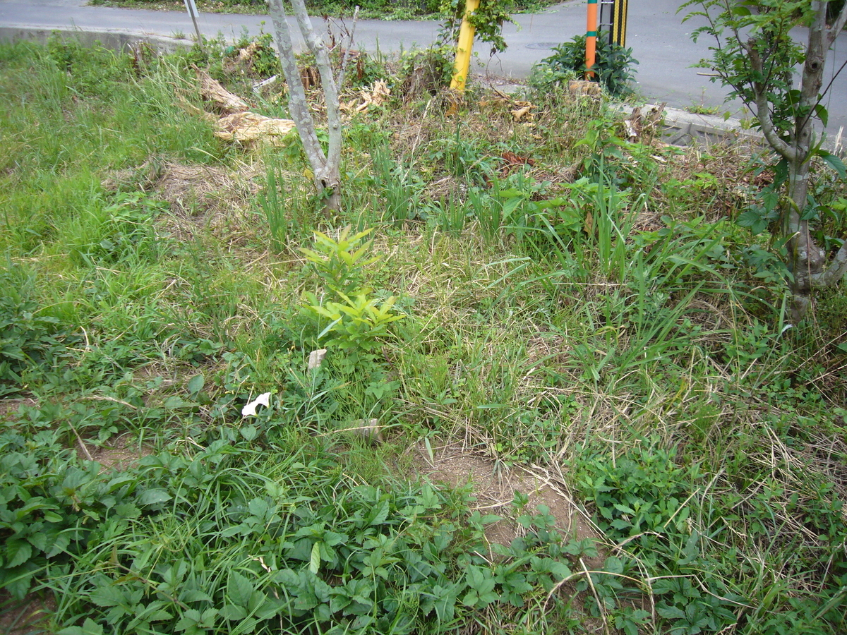 f:id:ai_bou:20190626195335j:plain f:id:ai_bou:20190626195335j:plain