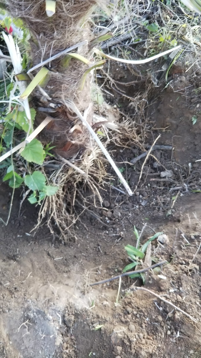 f:id:ai_bou:20190629213615j:plain f:id:ai_bou:20190629213615j:plain