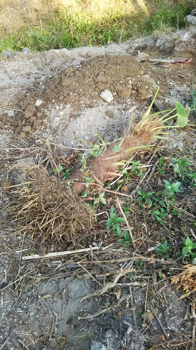 f:id:ai_bou:20190629213649j:plain f:id:ai_bou:20190629213649j:plain