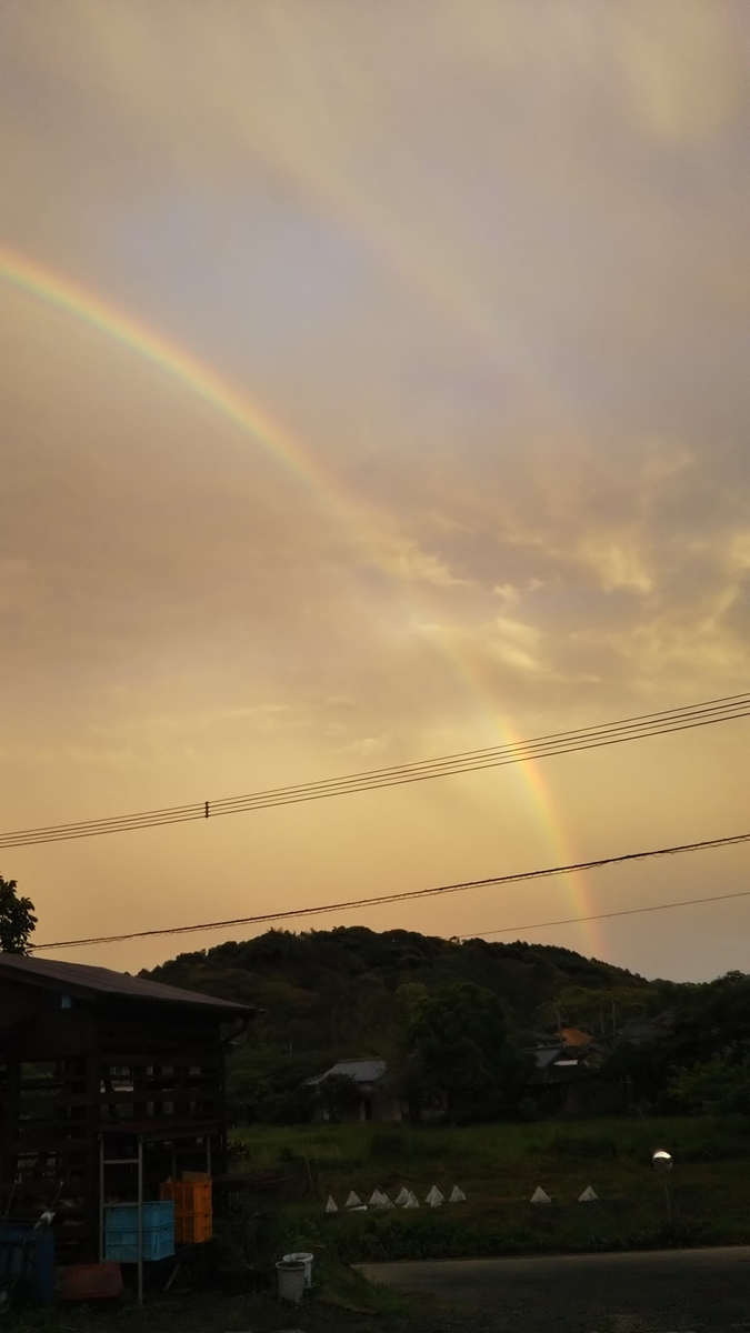 f:id:ai_bou:20190704213724j:plain f:id:ai_bou:20190704213724j:plain