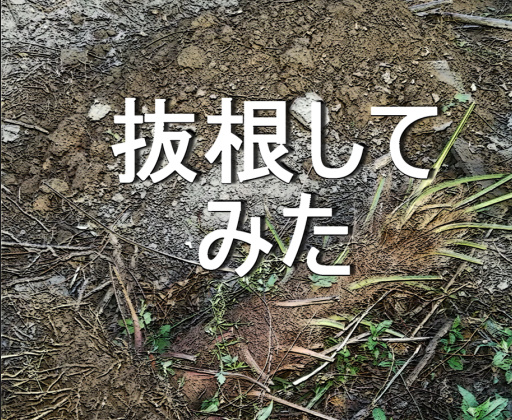 f:id:ai_bou:20190708195539j:plain f:id:ai_bou:20190708195539j:plain
