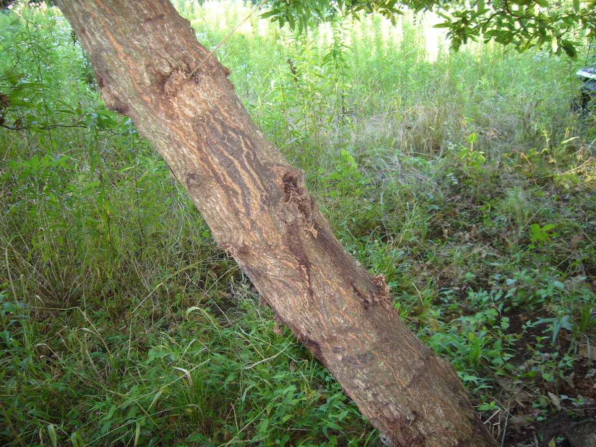 f:id:ai_bou:20190728205919j:plain f:id:ai_bou:20190728205919j:plain