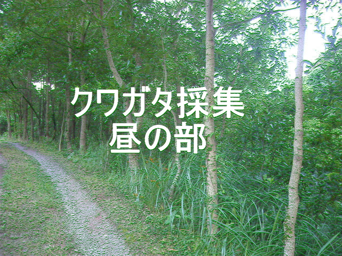 f:id:ai_bou:20190728205947j:plain f:id:ai_bou:20190728205947j:plain