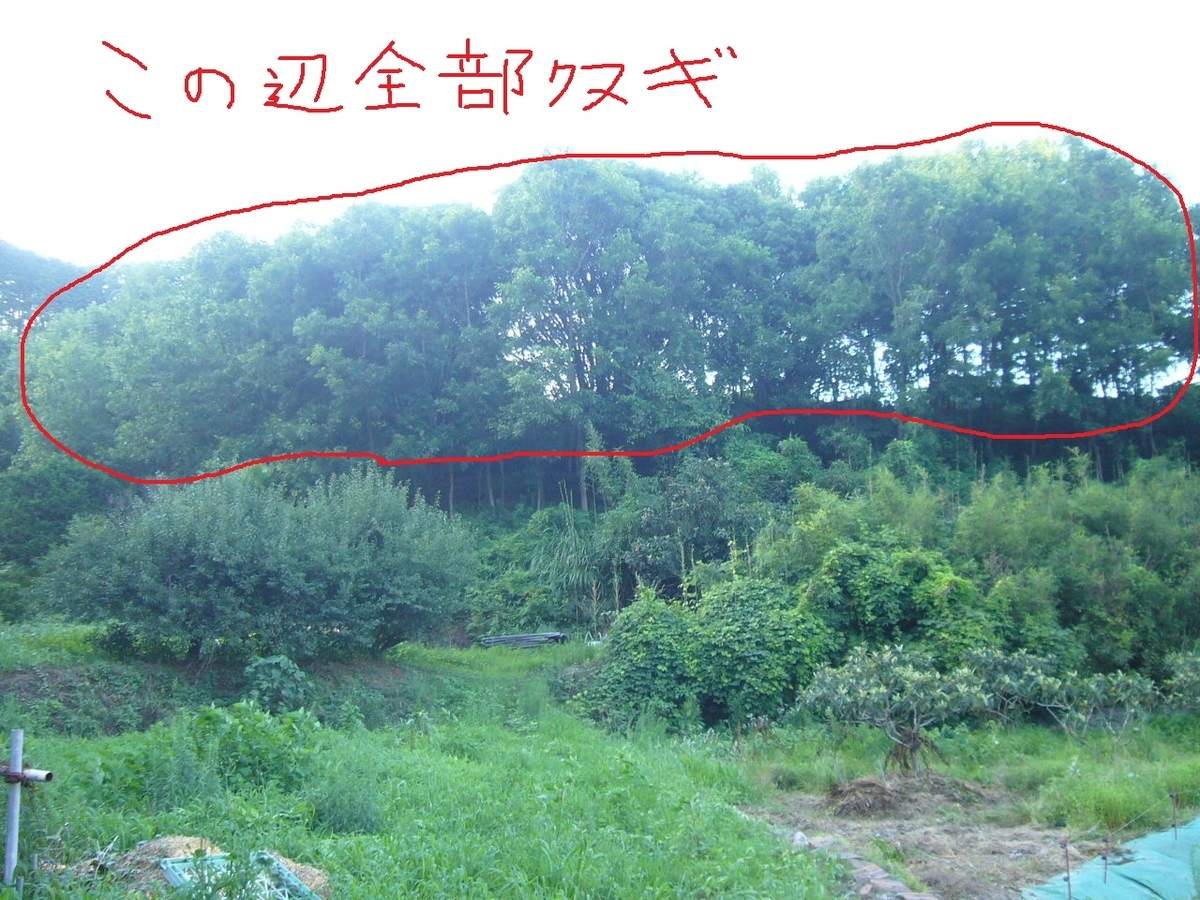 f:id:ai_bou:20190728210404j:plain f:id:ai_bou:20190728210404j:plain