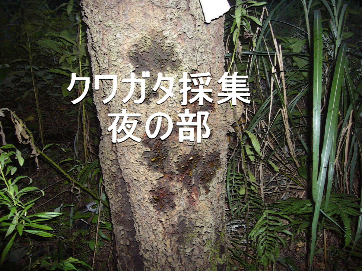 f:id:ai_bou:20190728221344j:plain f:id:ai_bou:20190728221344j:plain