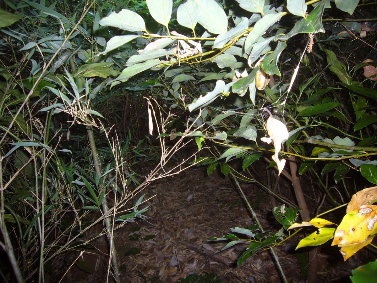 f:id:ai_bou:20190819135114j:plain f:id:ai_bou:20190819135114j:plain