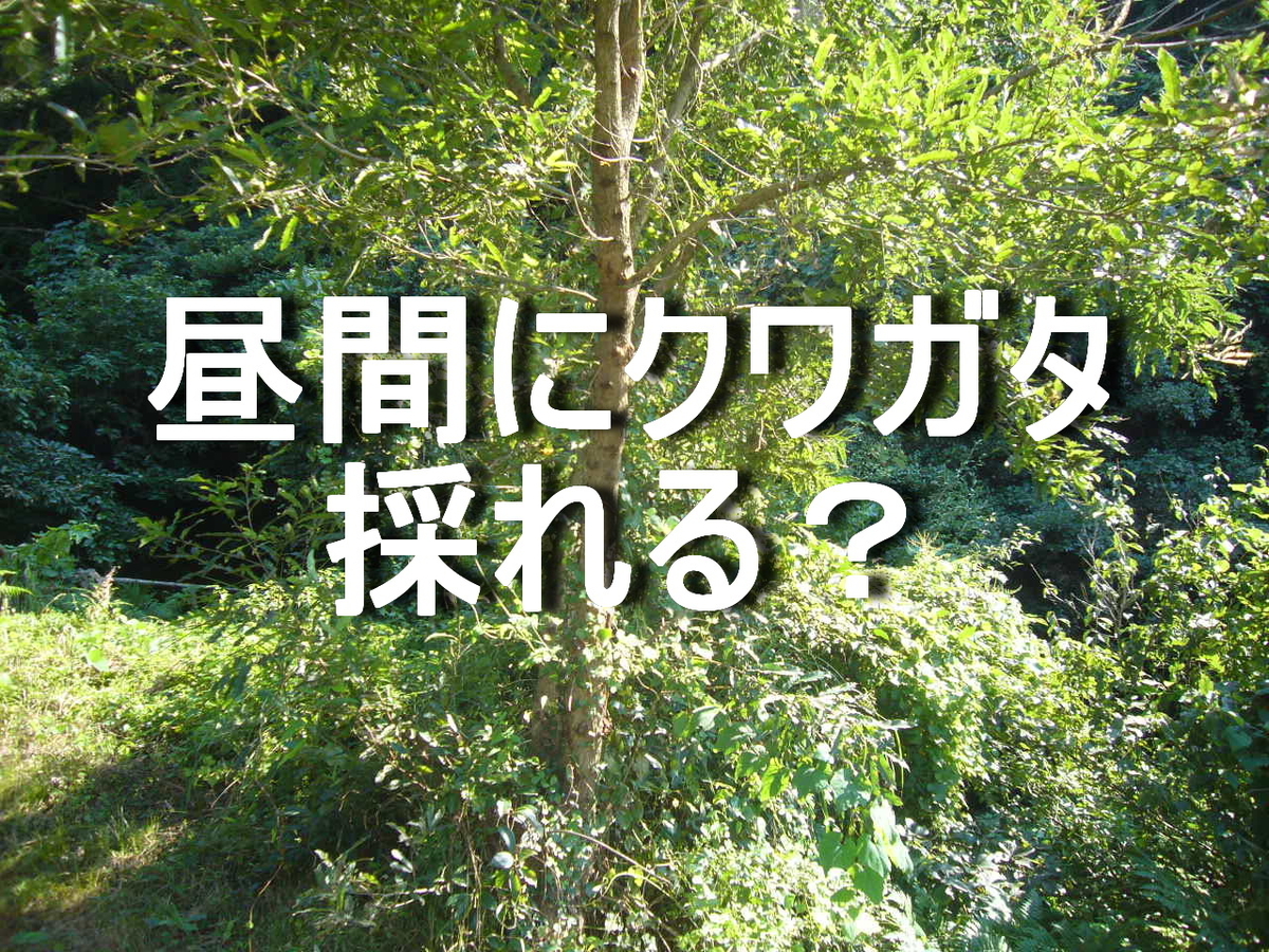 f:id:ai_bou:20190819135244j:plain f:id:ai_bou:20190819135244j:plain