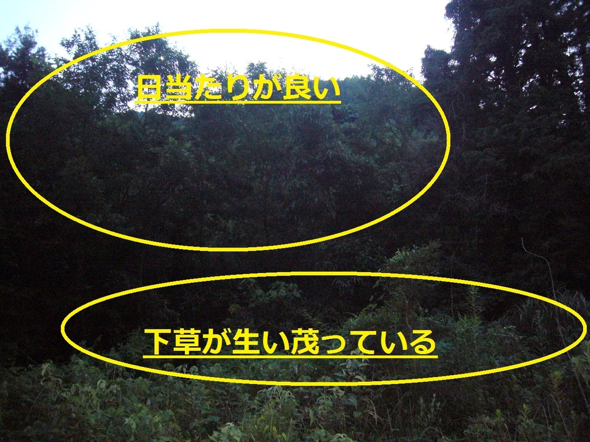 f:id:ai_bou:20190820141404j:plain f:id:ai_bou:20190820141404j:plain