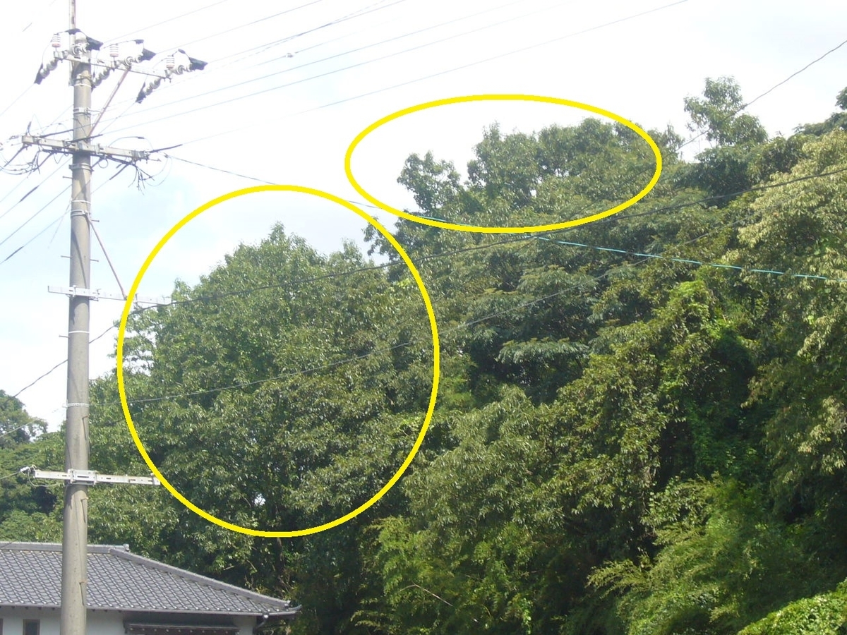 f:id:ai_bou:20190823132241j:plain f:id:ai_bou:20190823132241j:plain