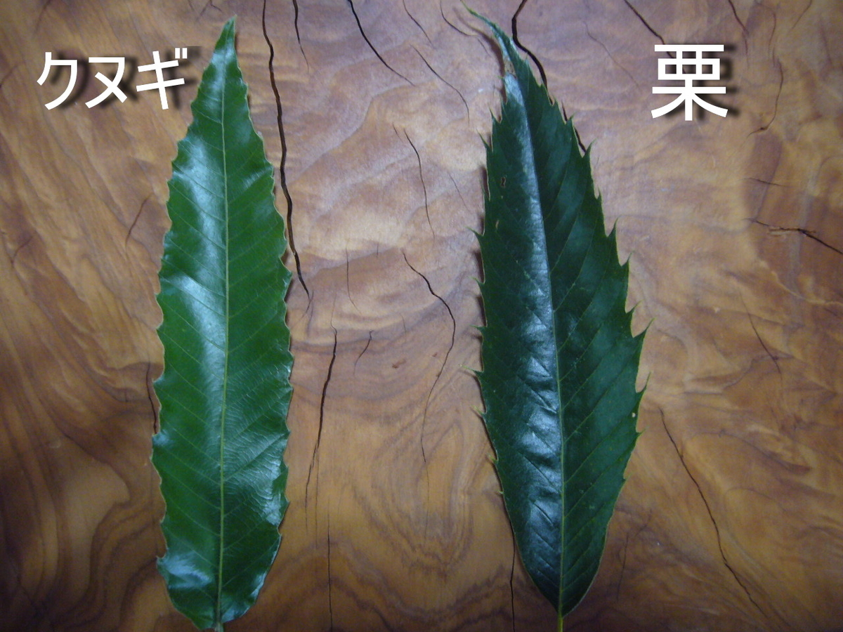 f:id:ai_bou:20190823132335j:plain f:id:ai_bou:20190823132335j:plain
