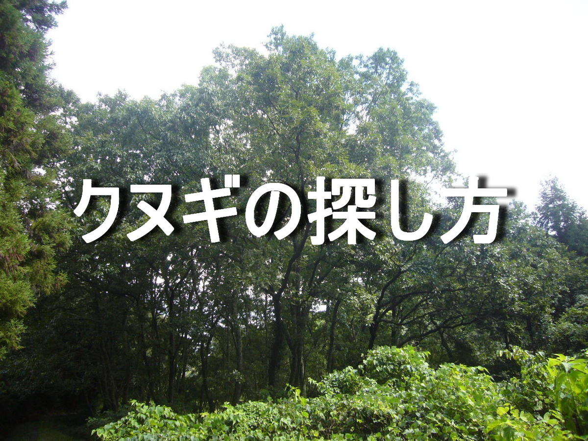 f:id:ai_bou:20190823132837j:plain f:id:ai_bou:20190823132837j:plain