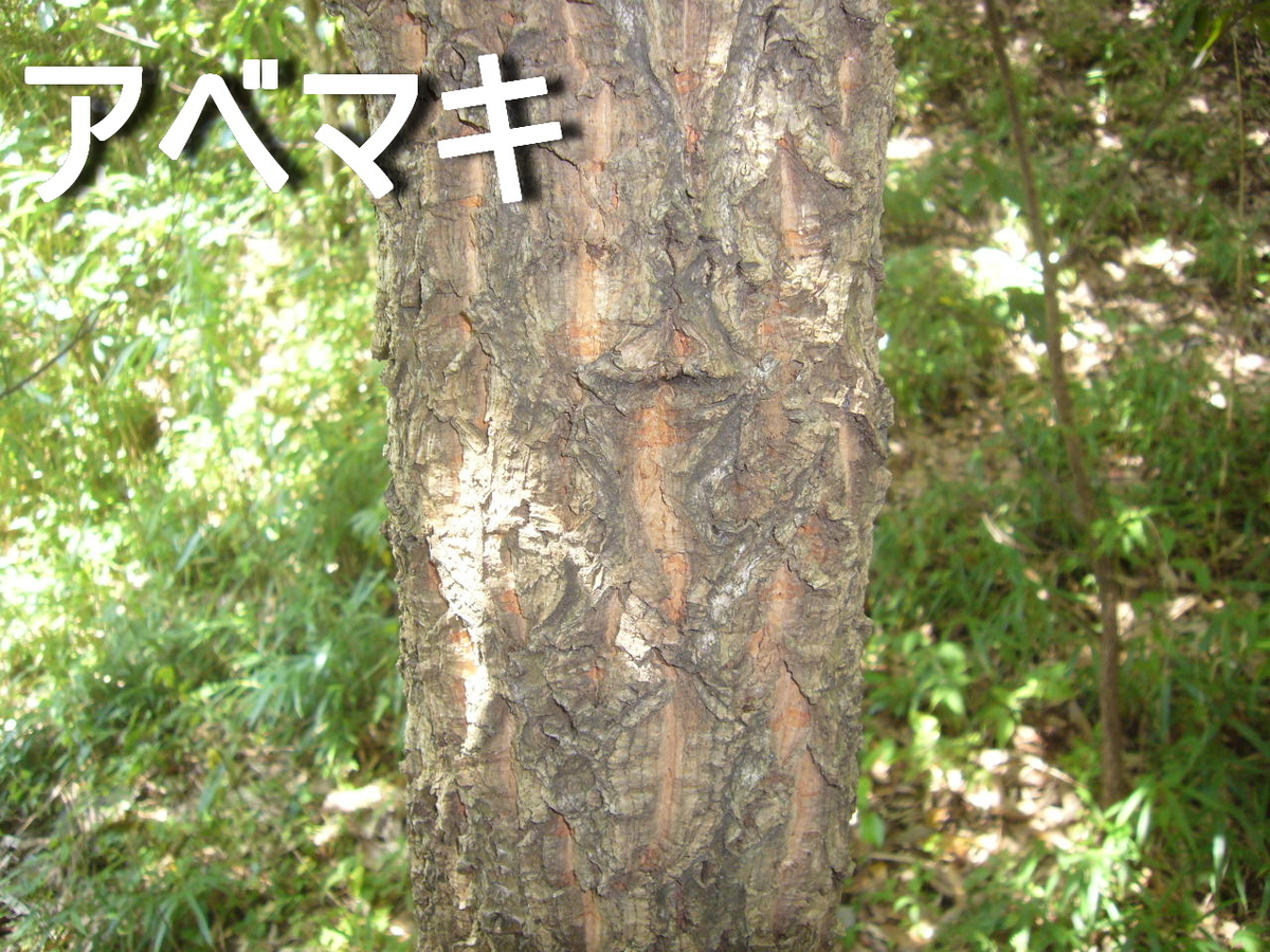 f:id:ai_bou:20190825153110j:plain f:id:ai_bou:20190825153110j:plain