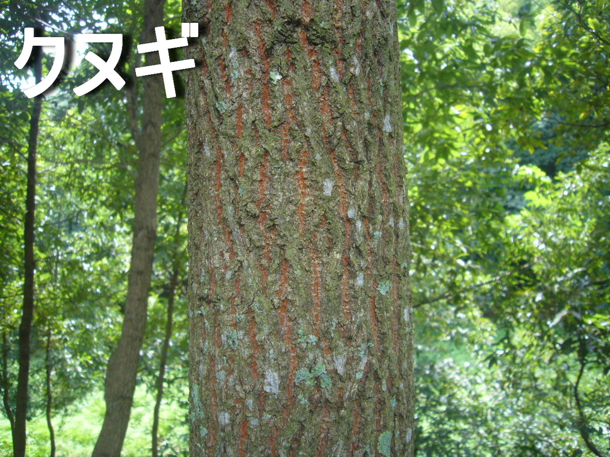 f:id:ai_bou:20190825153126j:plain f:id:ai_bou:20190825153126j:plain
