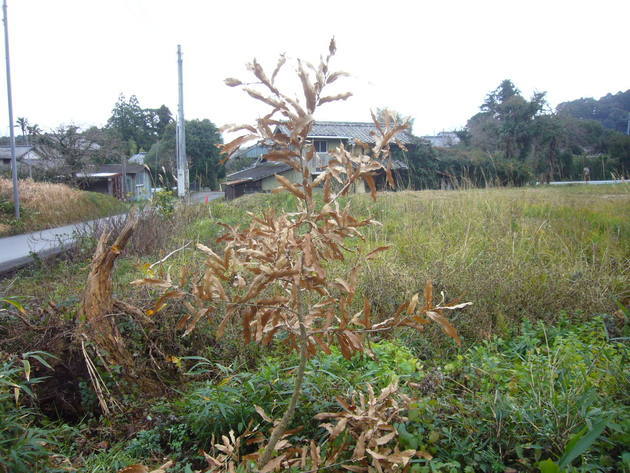 f:id:ai_bou:20200112195205j:plain f:id:ai_bou:20200112195205j:plain