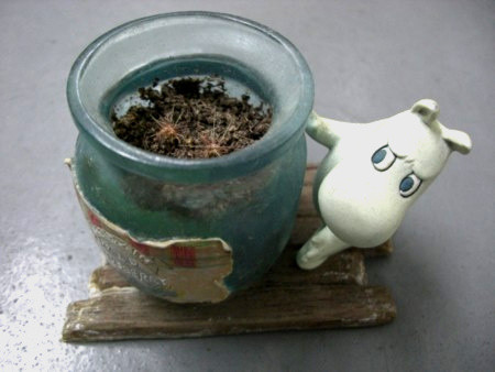 f:id:ai_kyo:20090603164945j:image