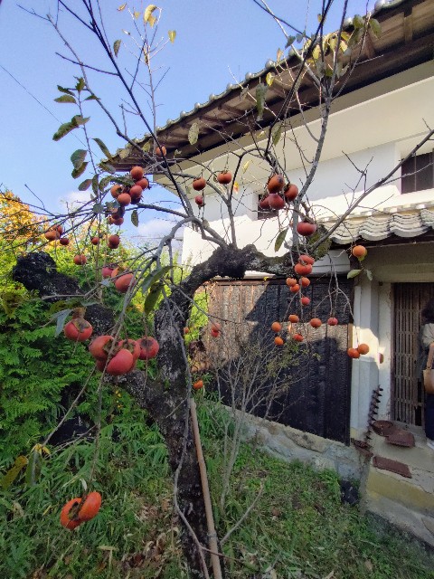 f:id:aiai-pomuru:20251115224242j:image