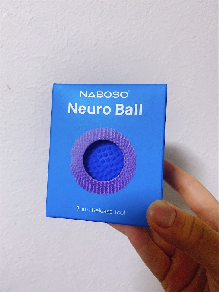 f:id:aiaiainamonai:20251019130312j:image