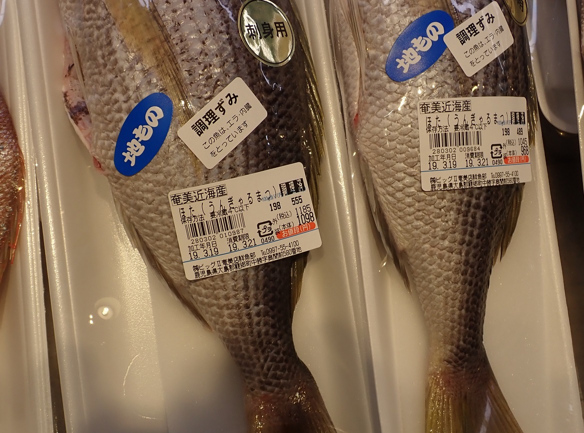 19奄美大島 鮒次郎のブログ