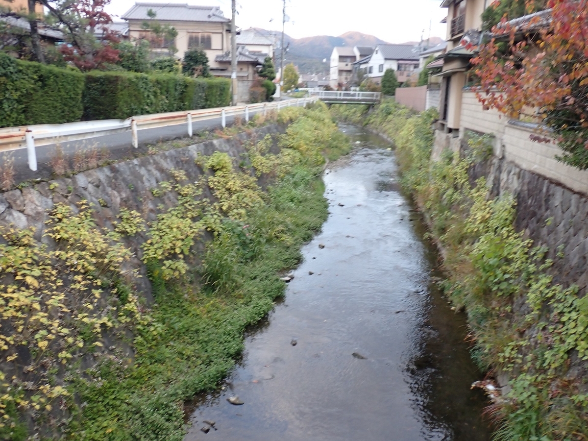 有栖川