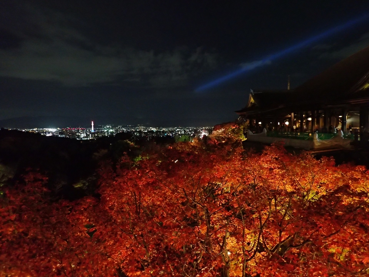 秋の紅葉ライトアップ清水寺の夜景