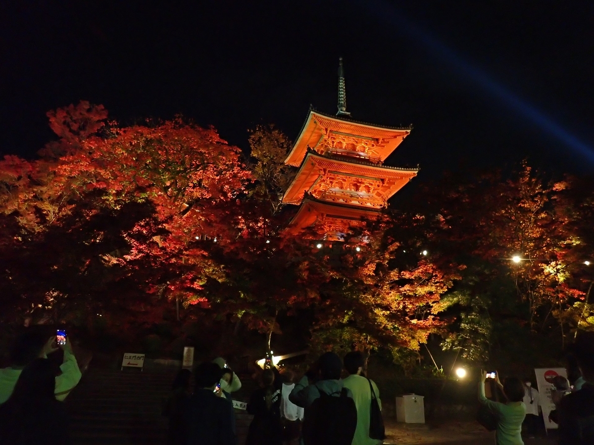 秋の紅葉ライトアップ清水寺の夜景