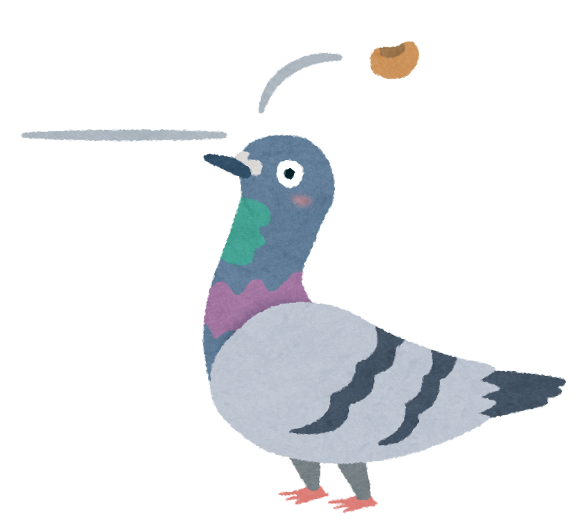 私の顔は鳩の豆鉄砲な状態になりました(笑)