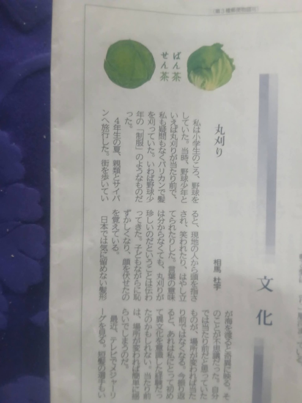 f:id:aiba-yamaguchi:20260705085544j:image f:id:aiba-yamaguchi:20260705085544j:image