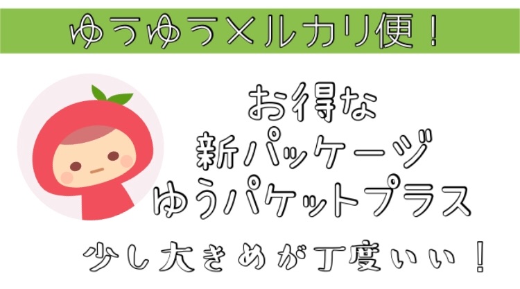 プラス 送料 パケット ゆう