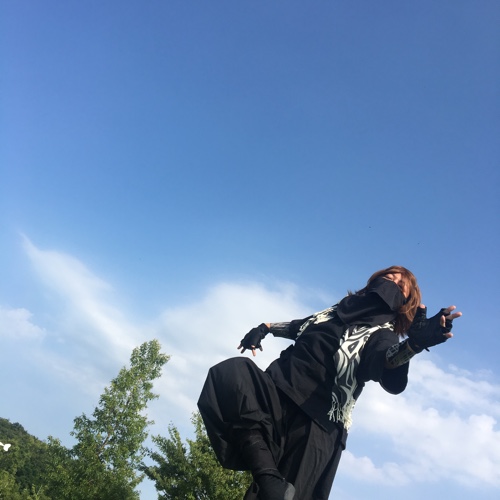 f:id:aichi-ninja:20170611212641j:plain f:id:aichi-ninja:20170611212641j:plain