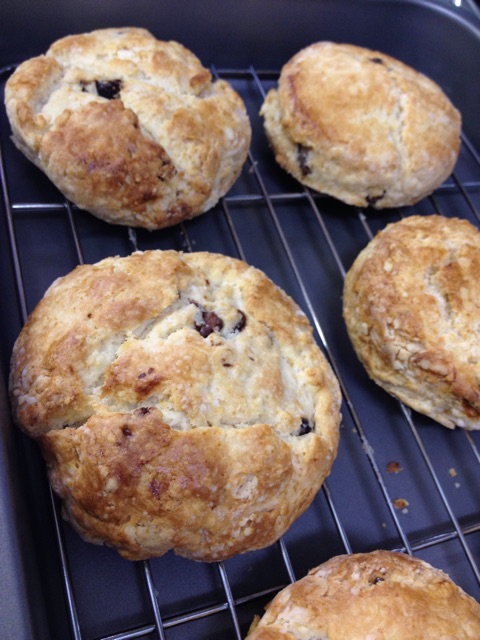 f:id:aico_recipe:20141230152117j:plain 「ミルクチョコとクランベリーのスコーン」焼き上がりー!!!
