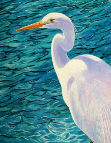 f:id:aidiary:20170104210228g:plain:w300