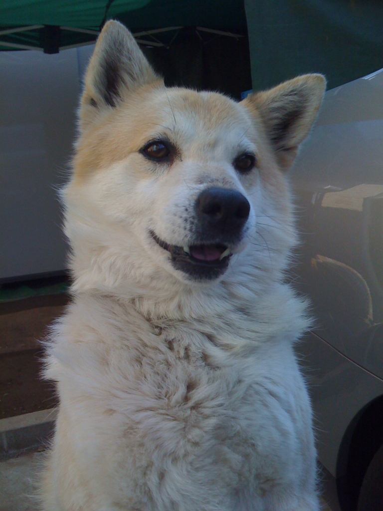 f:id:aidiary:20170104210738j:plain:w300