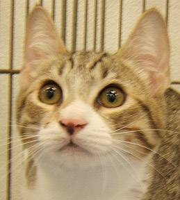 f:id:aidiary:20170110215210j:plain:w300