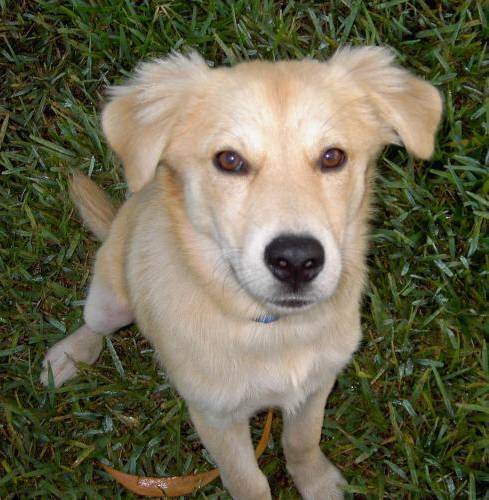 f:id:aidiary:20170110215220j:plain:w300