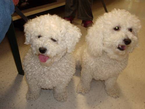 f:id:aidiary:20170110215234j:plain:w300