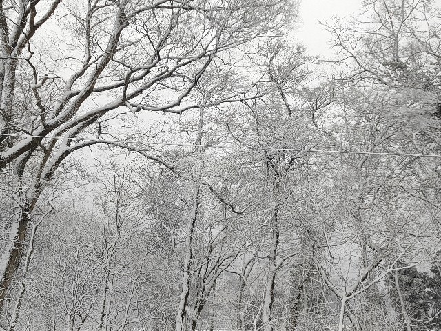 f:id:aidukodomogekijyou:20250301233029j:image