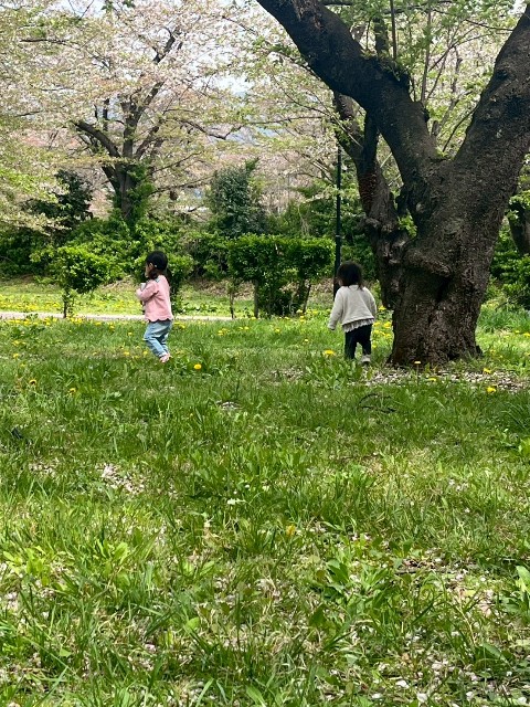 f:id:aidukodomogekijyou:20250429164225j:image