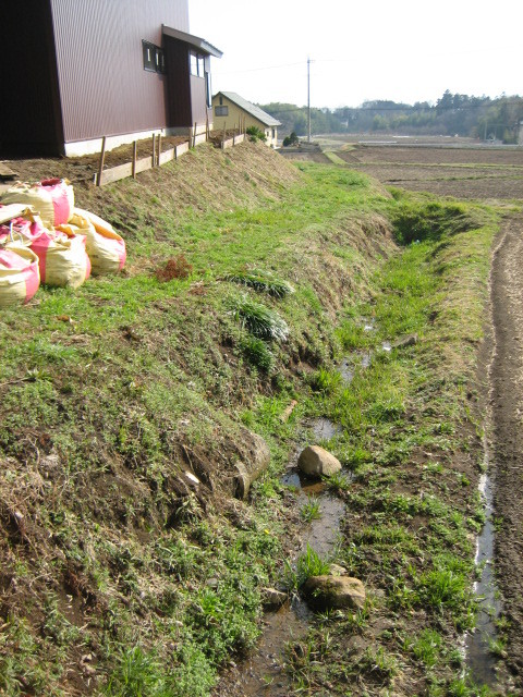 f:id:aien:20100308212336j:image