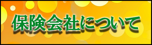 f:id:aiesuemu:20180830004034p:plain