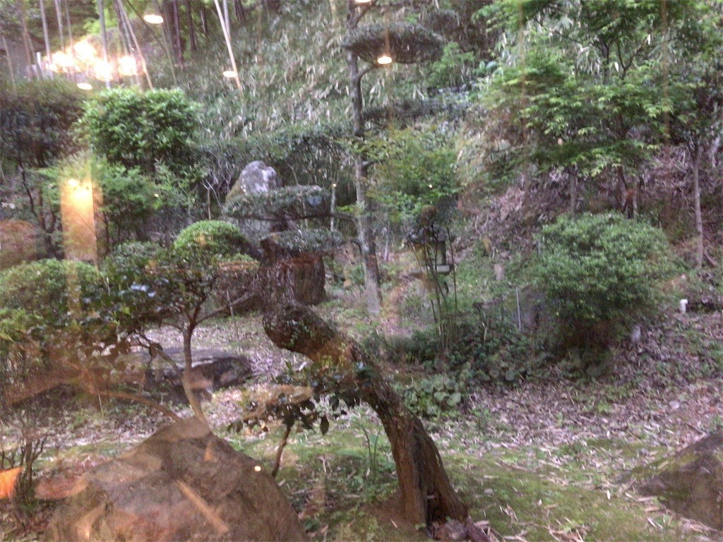 f:id:aiga:20190428205045j:image